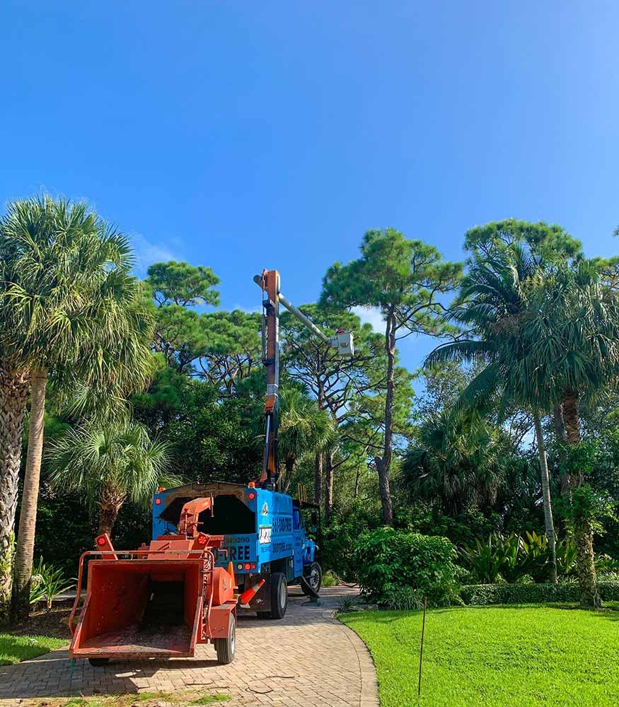 Lucky Tree Service chipper and truck on a tree lined driveway in Jupiter