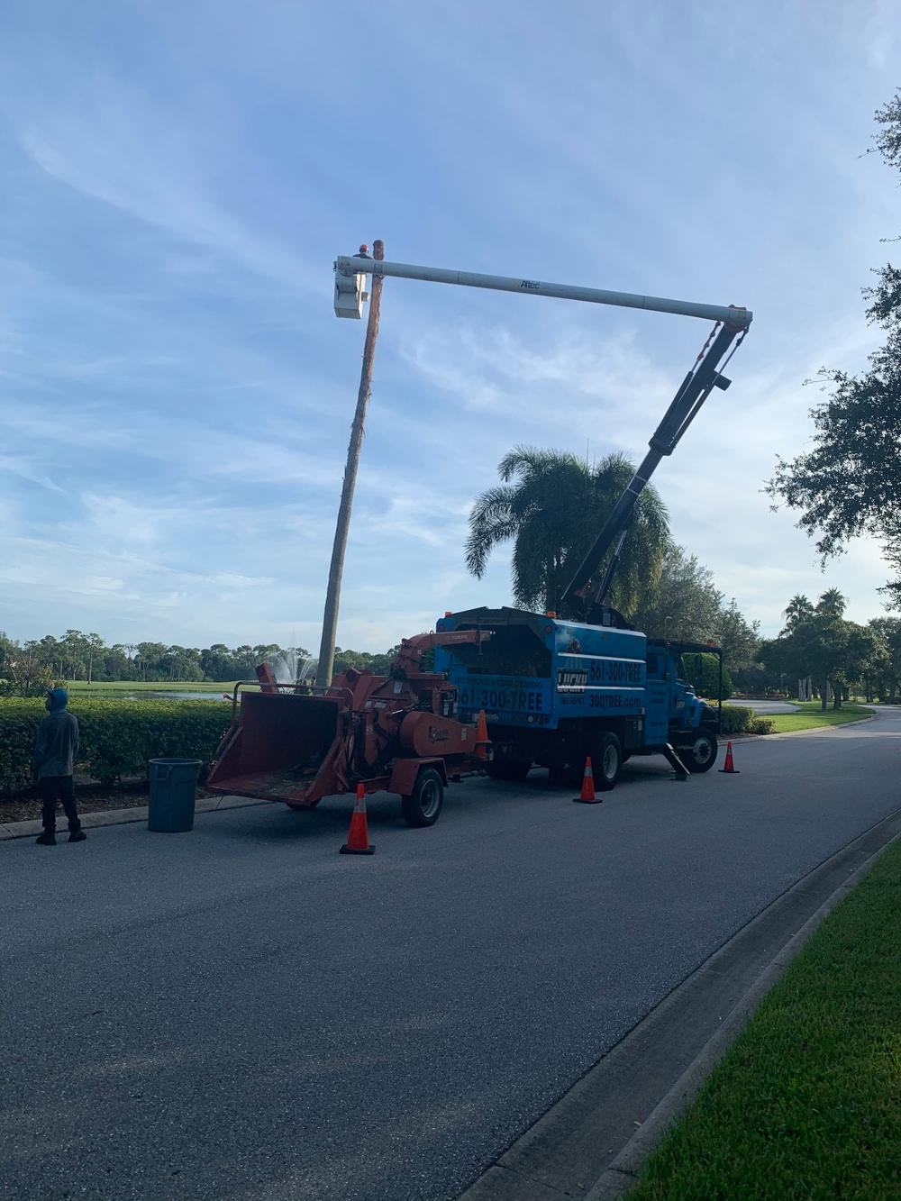 Grapple truck parked on a Jupiter road with safety cones, its arm reaching toward a palm