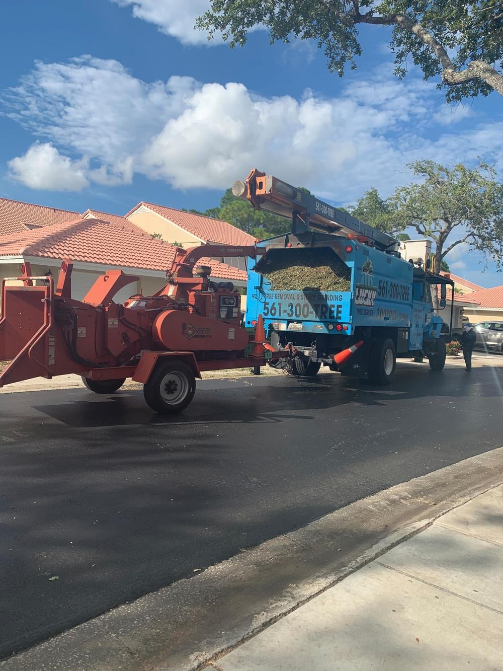 Blue debris truck and orange chipper working together on a residential street in Jupiter