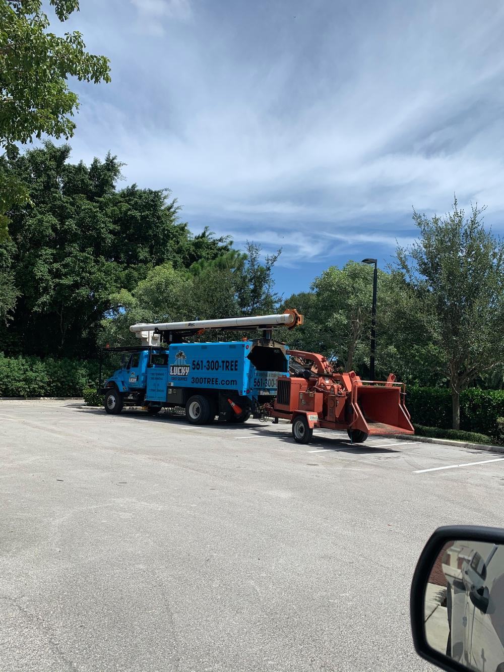 Blue Lucky Tree Service truck and orange chipper parked in a lot with trees behind