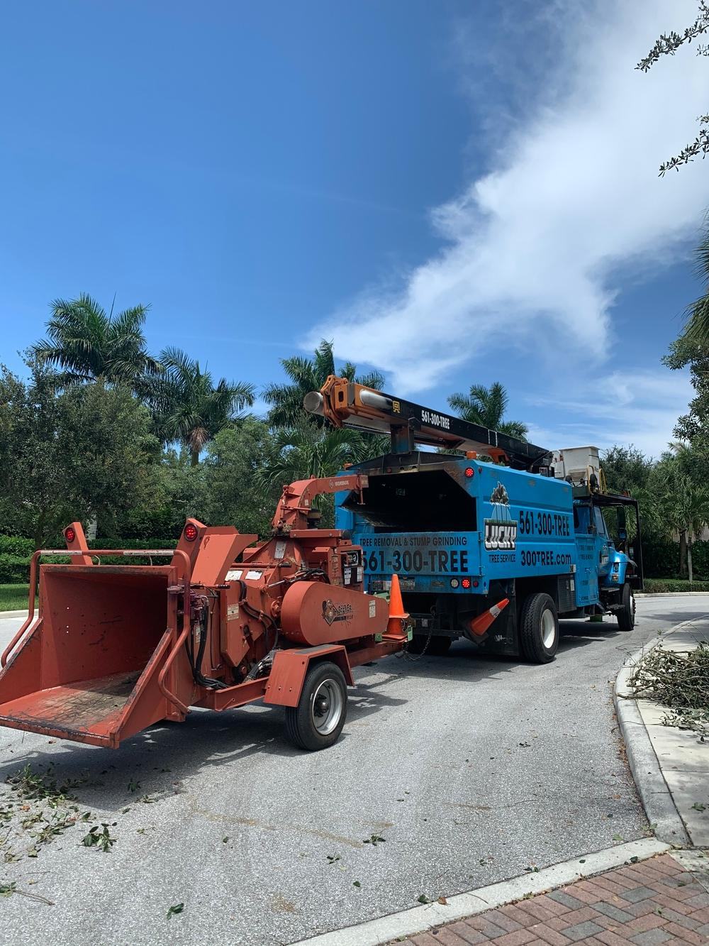 Orange chipper and blue Lucky Tree Service truck on a paved driveway in Jupiter
